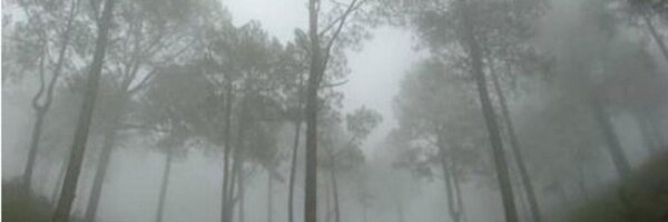 TwistedRogues Profile Banner