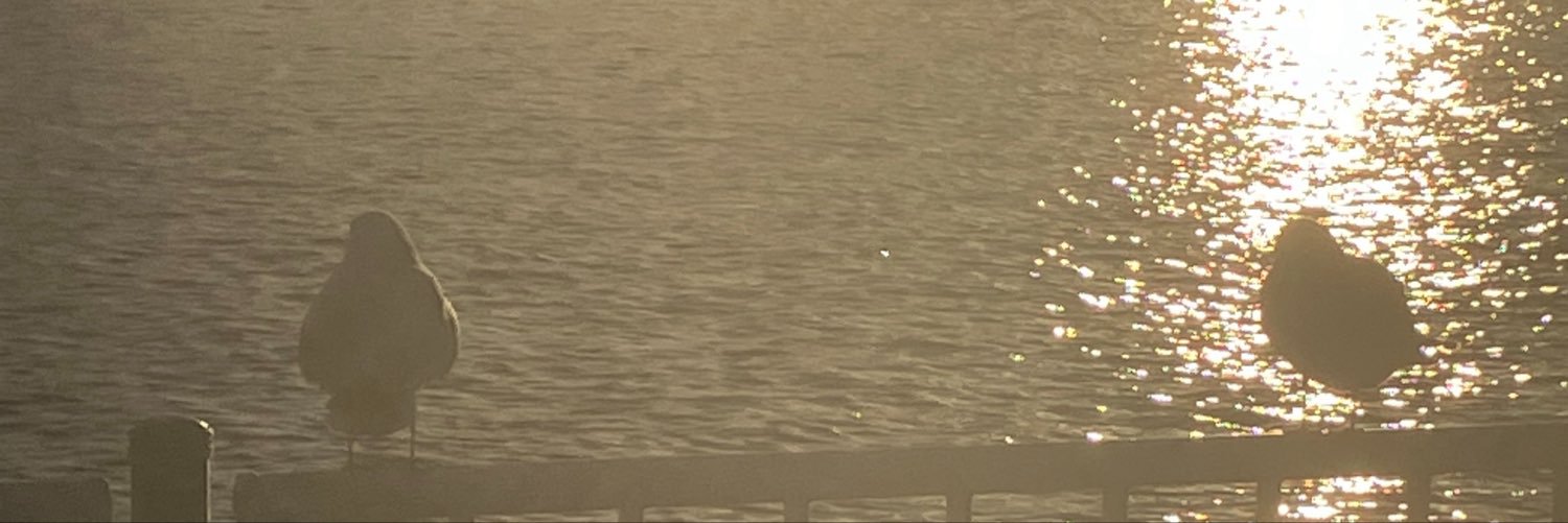 aiueppai's profile banner image