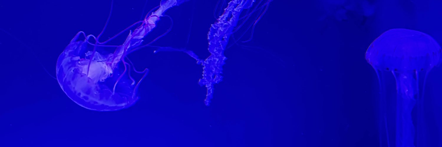 hj10y's profile banner image