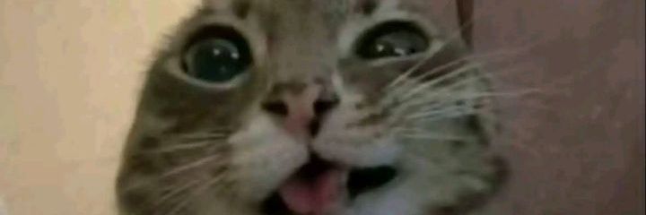 opombonuno's profile banner image