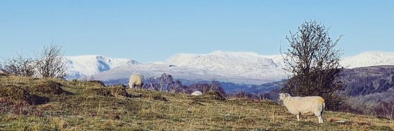 Jodie Standing banner