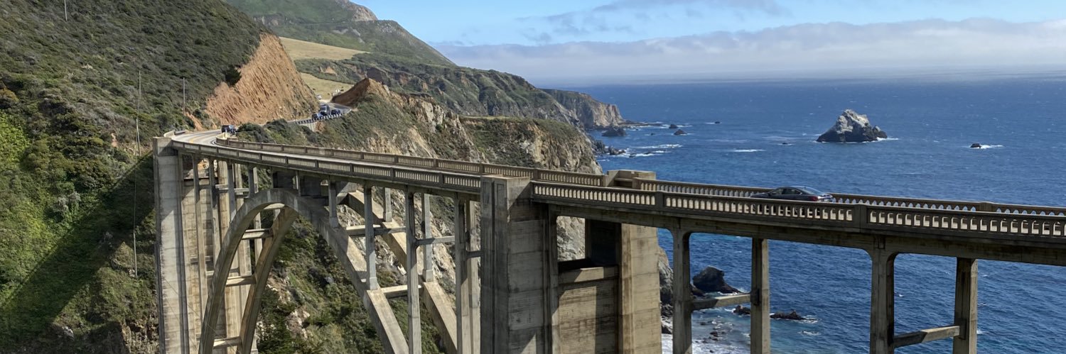 Nicole Martindale banner