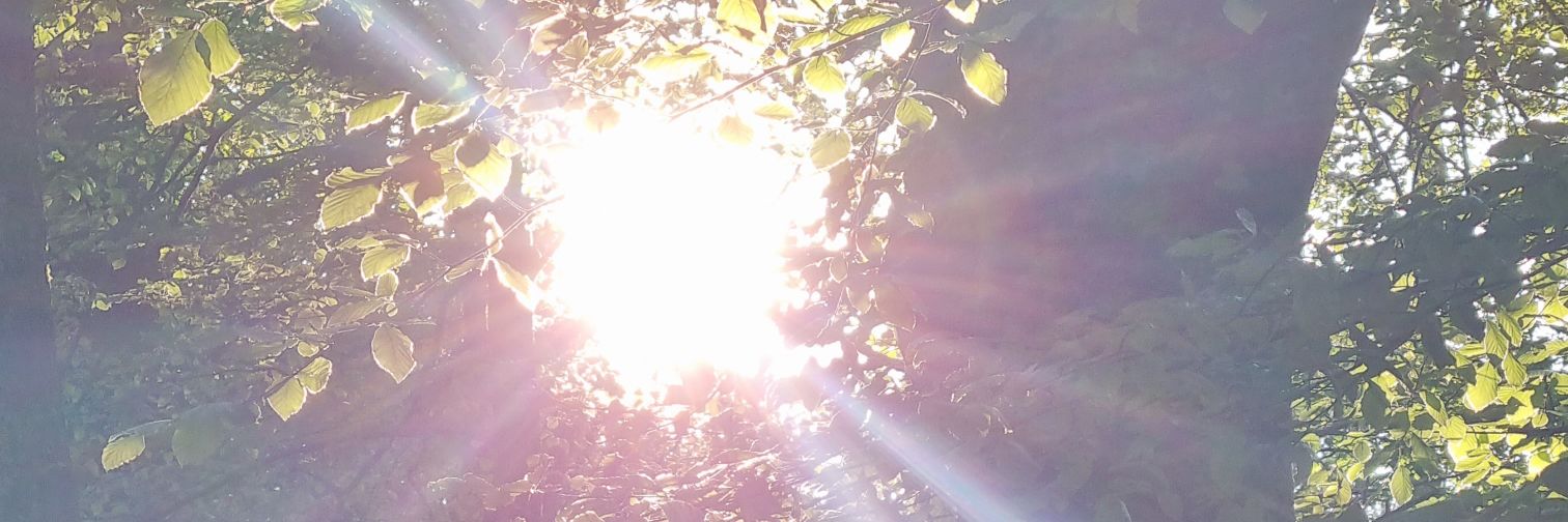 DigitalDevlin's profile banner image