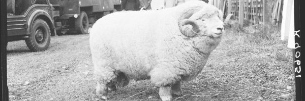 TheMERL Profile Banner