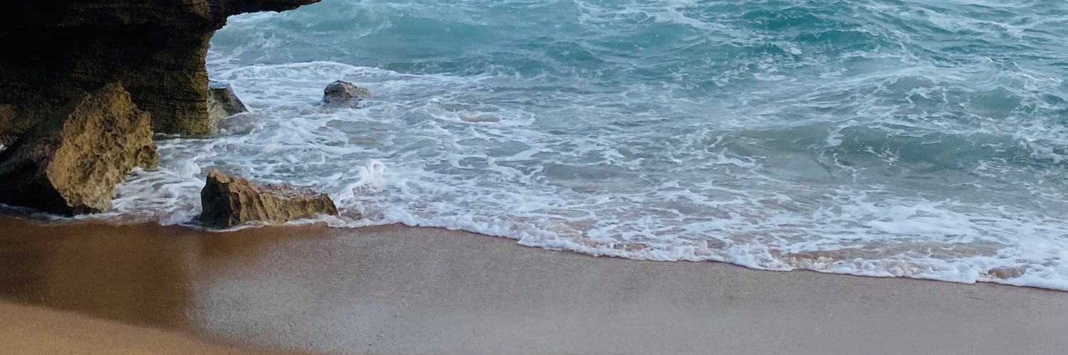 Aneta banner