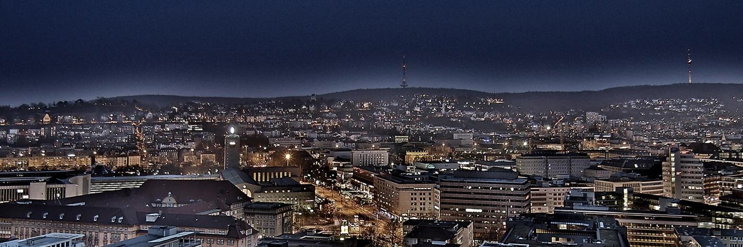 Pinscherin's profile banner image