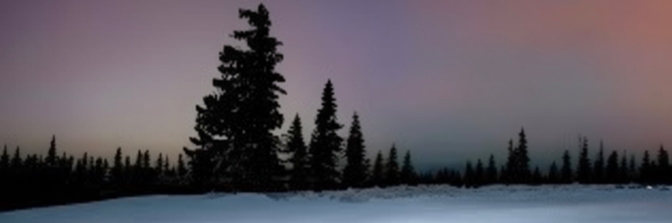 @peeppunishment banner