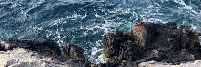 greendazed banner