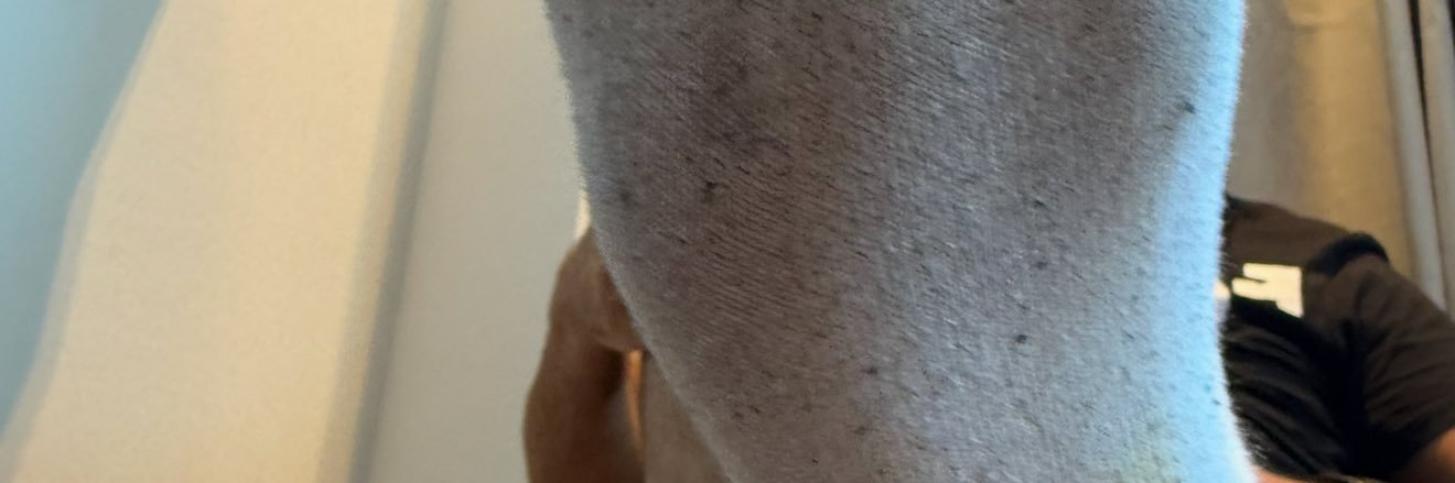 A T banner