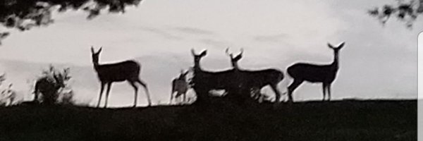 tamkat07 Profile Banner