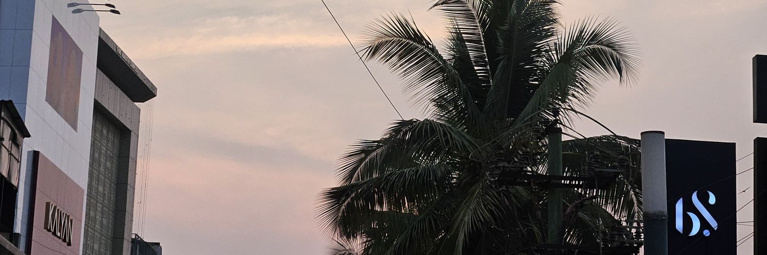 angelachase94's profile banner image