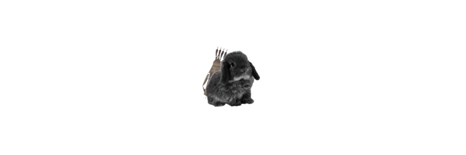 aleclightbcrave's profile banner image