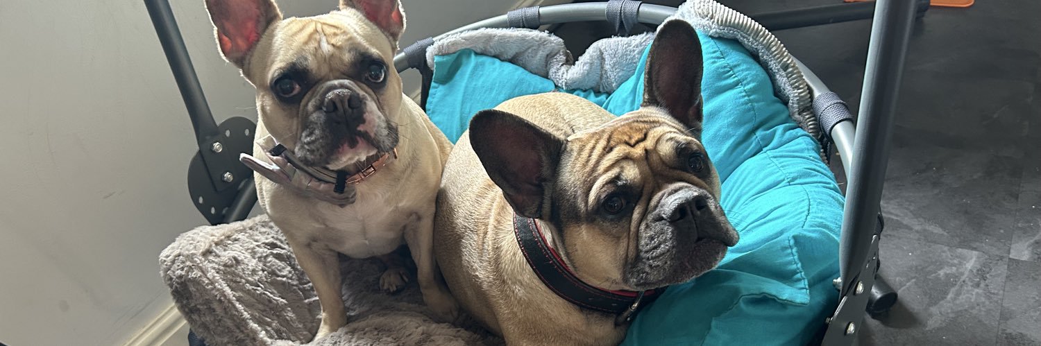 Linzie 🏴󠁧󠁢󠁥󠁮󠁧󠁿 banner