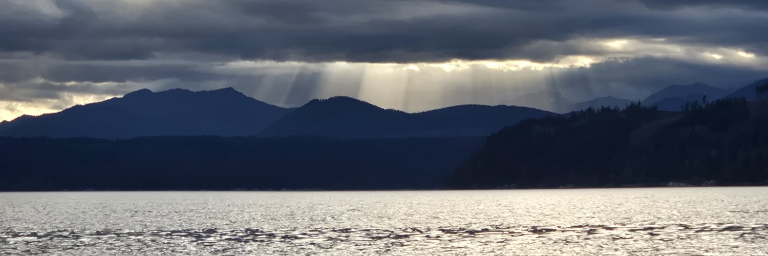 PostingL74310's profile banner image