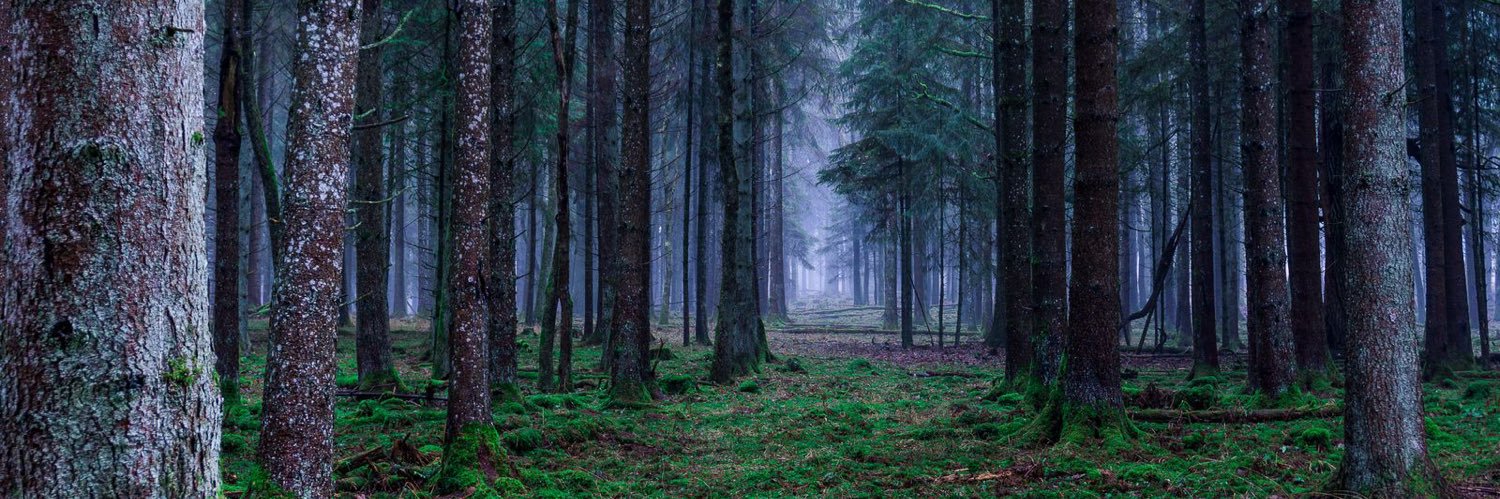 عبد الوهاب banner