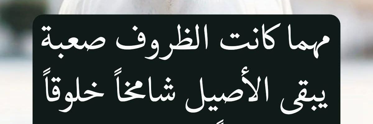 اليماني اليماني banner