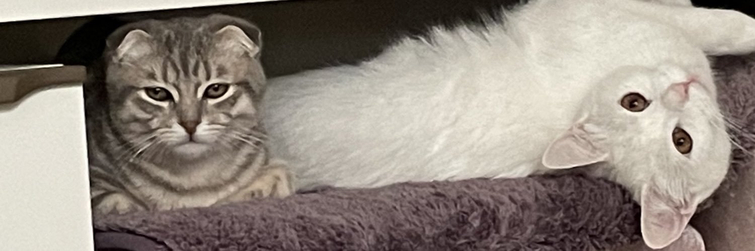 e banner