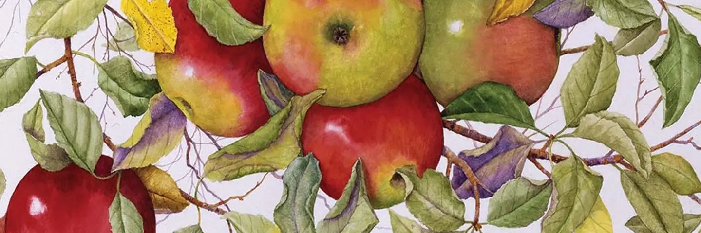 biko 🛡️💚 banner