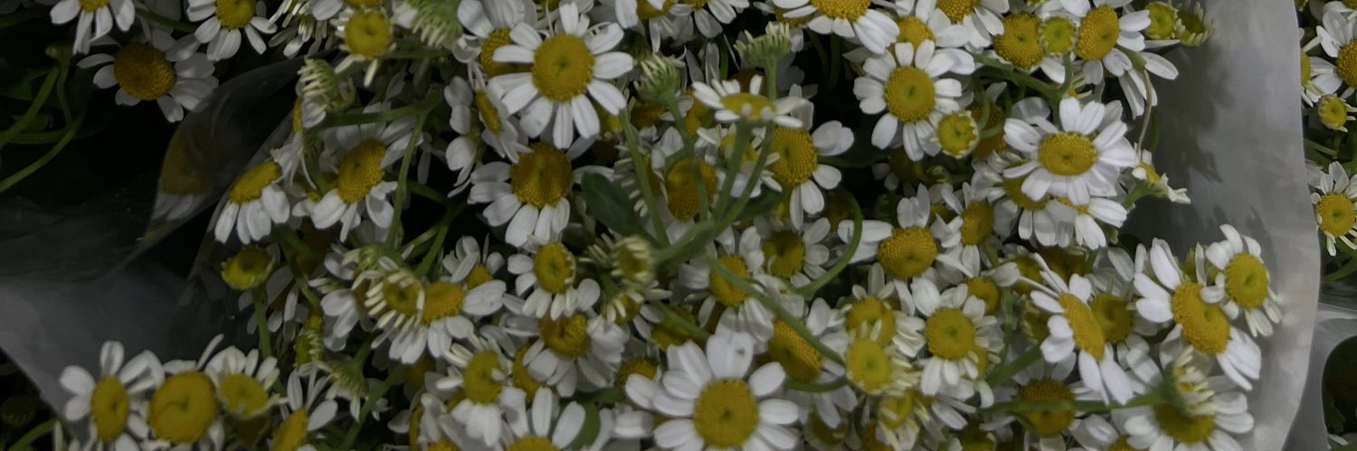 tep ♡ᵎ banner