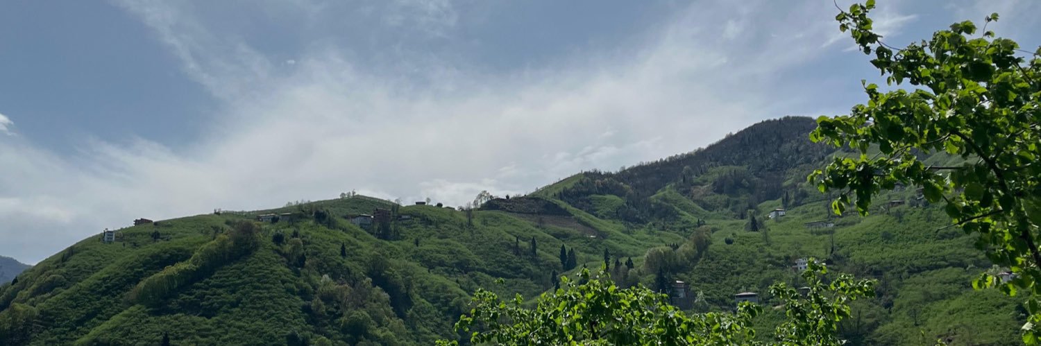ballisidir's profile banner image