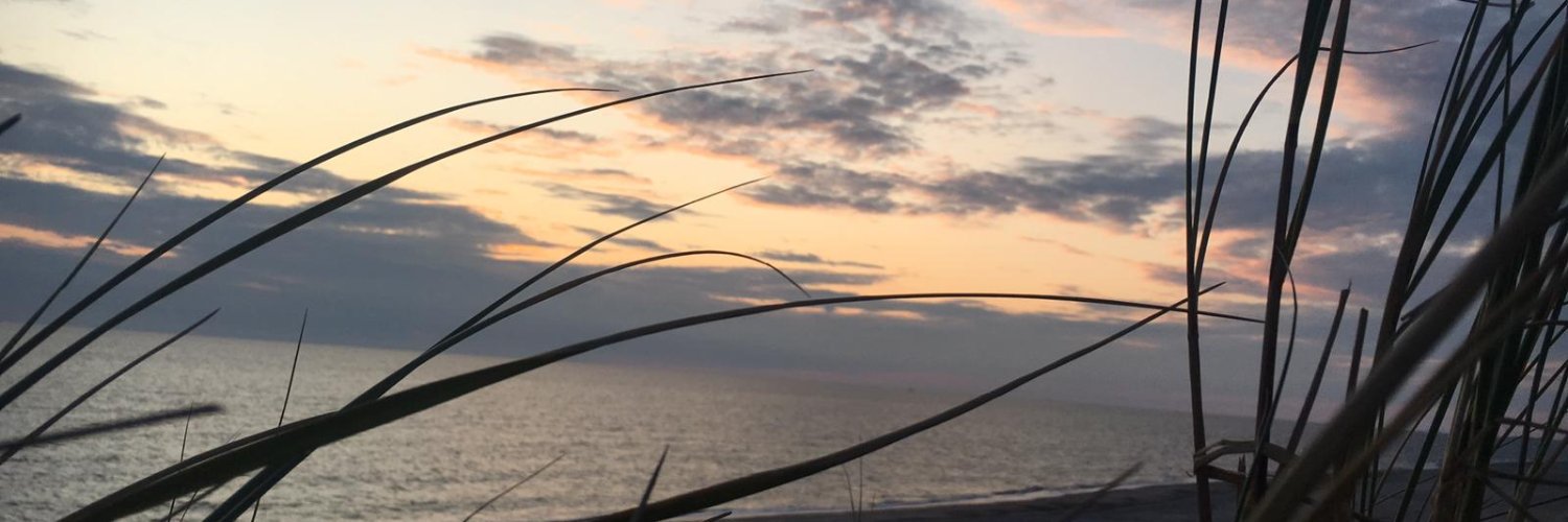 Rdoeing's profile banner image
