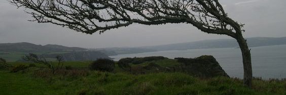 DMacLyit's profile banner image