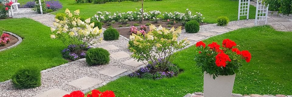 Harold_harri_'s profile banner image
