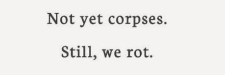 ₍^› ꘍ ‹ ^₎⟆ banner