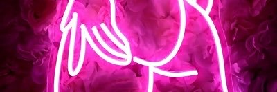 MissJune00's profile banner image
