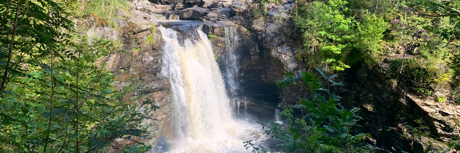 Suzi 🦋✨ banner