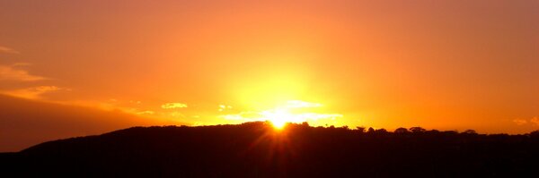 Hello_Im_Peter Profile Banner