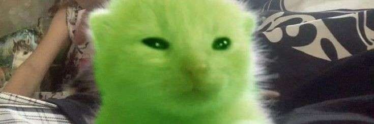 El_papu_alien77's profile banner image