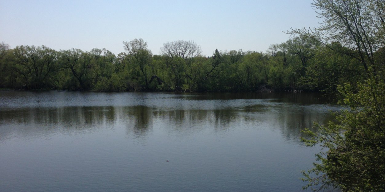 Robin Milhausen banner