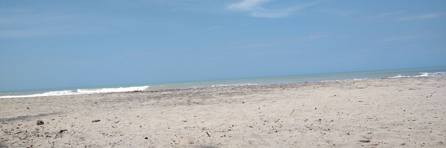 unsimpleculibri's profile banner image