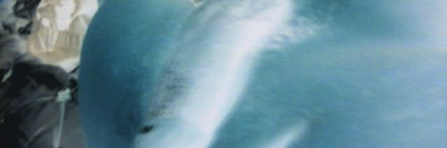 MR_SWAGGORIFIC's profile banner image