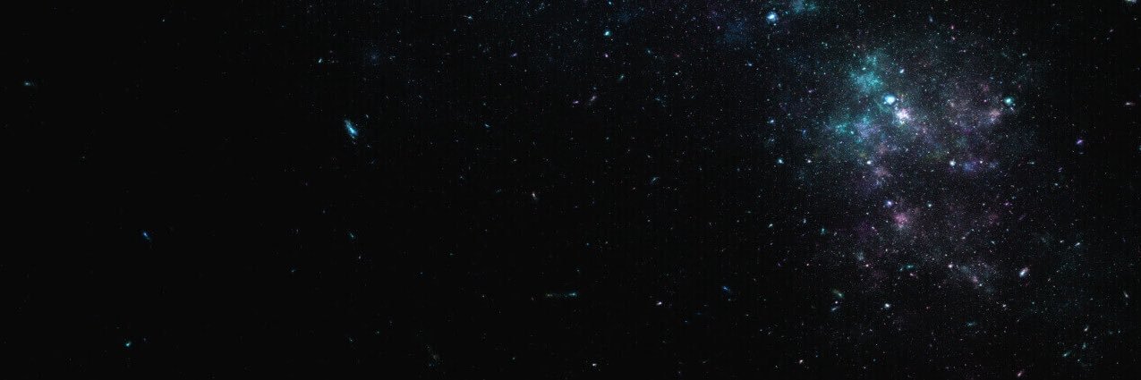 White Guy Bets banner