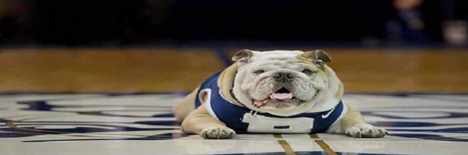 Kyle Pertuset banner