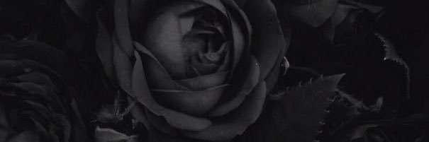 destolvera's profile banner image