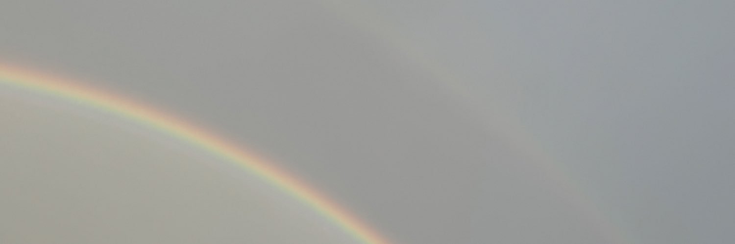 baileyzayn's profile banner image