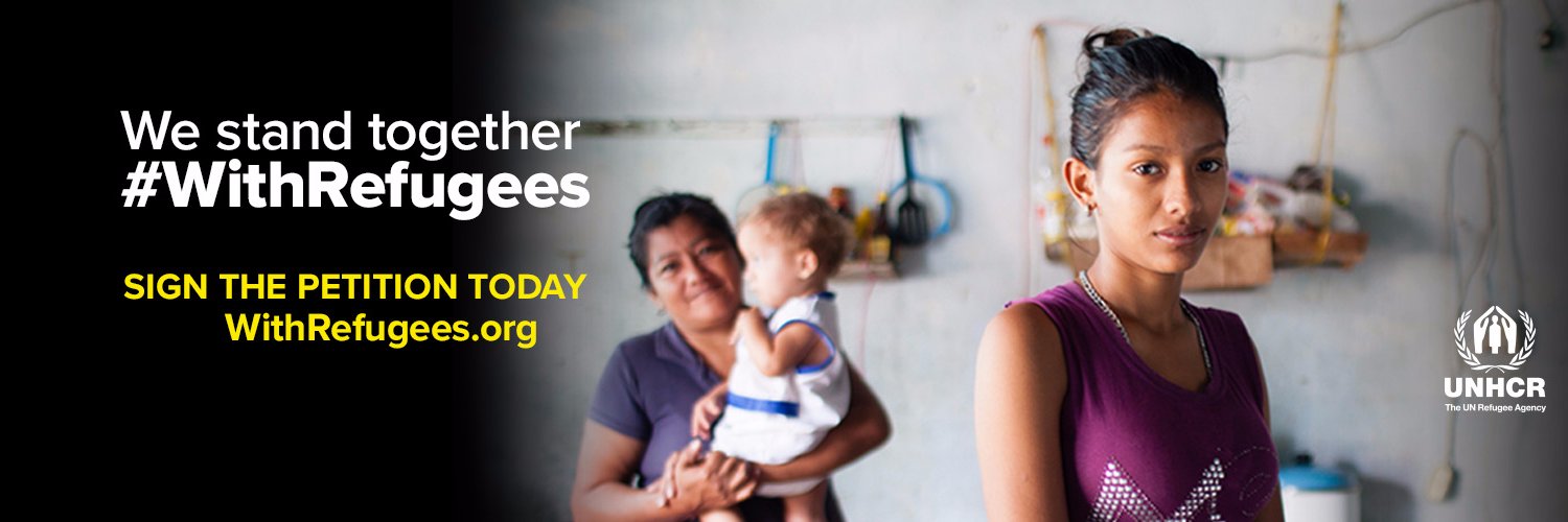 Karina Grosheva banner