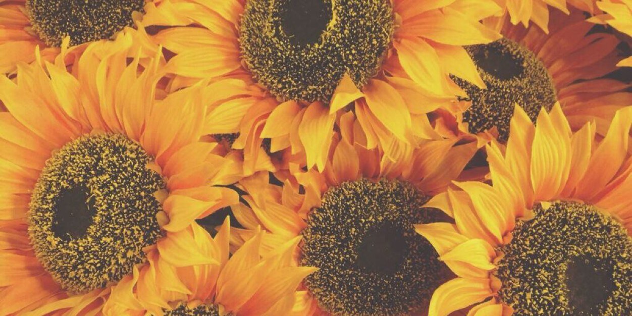 jordynavery's profile banner image