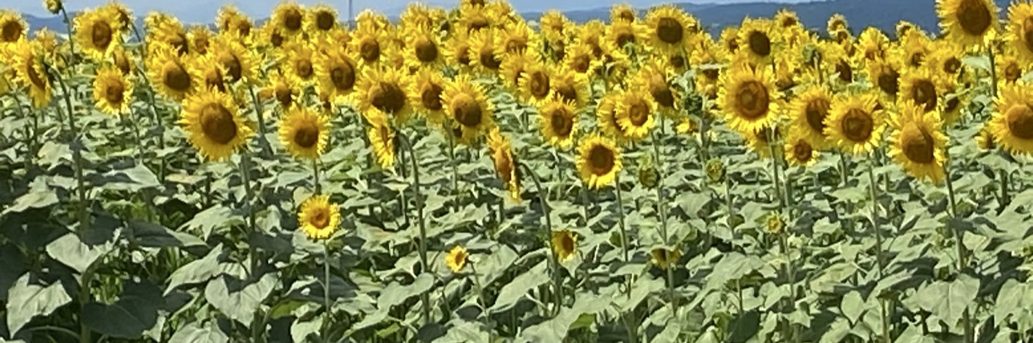 MaskerTaij87971's profile banner image