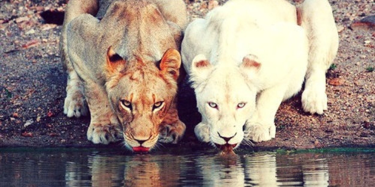 JaenRoncallo's profile banner image
