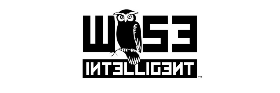 Wise Intelligent banner