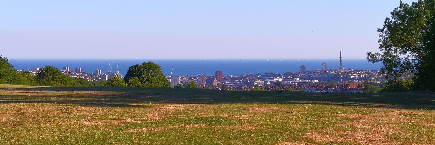 mike morrison banner