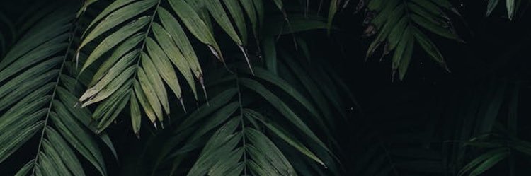 FuckingBadKiidd's profile banner image