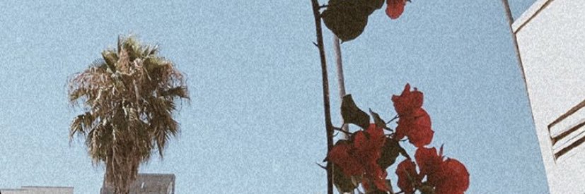 mariaftag's profile banner image