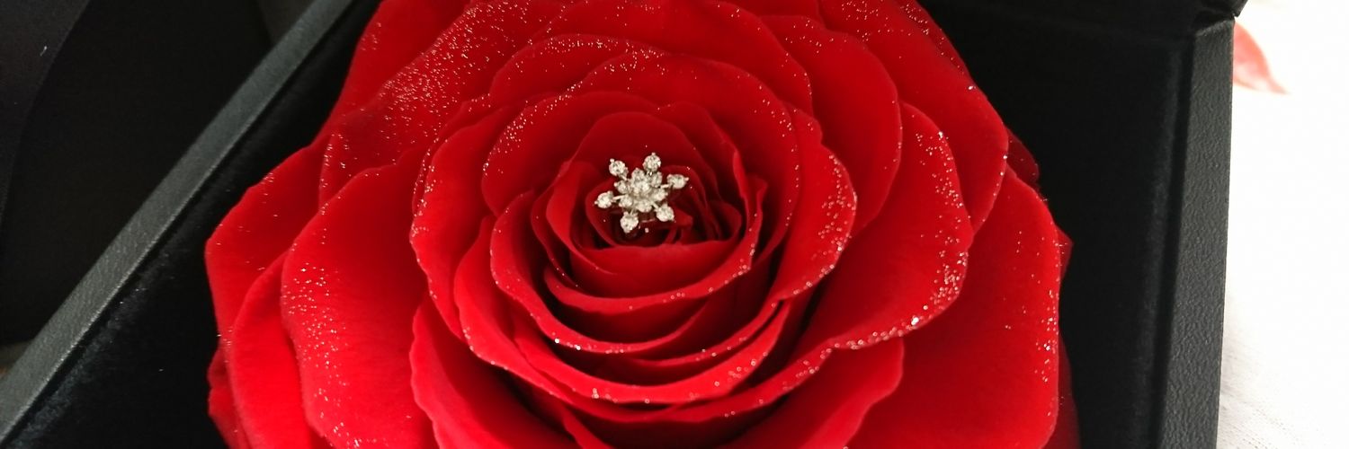 なおみーる banner