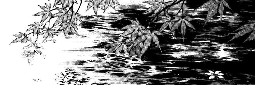 Creek 🤍 (Revived) banner