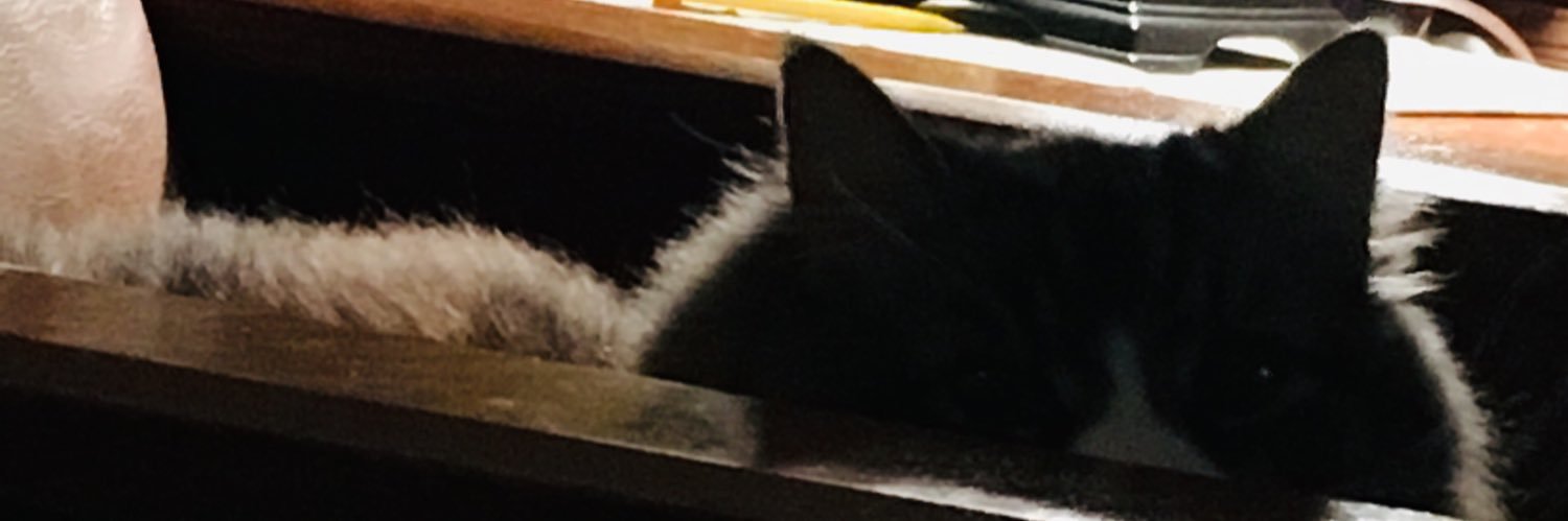 ShanLan's profile banner image